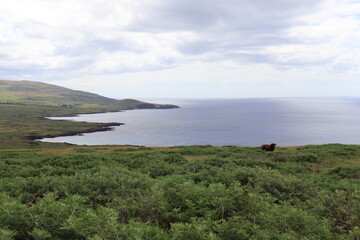 Littoral de l'île de Pâques	
