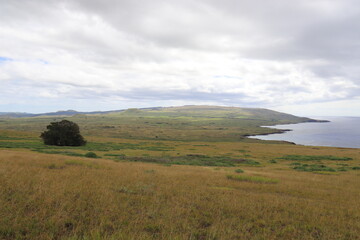 Prairie du volcan Poike à l'île de Pâques	