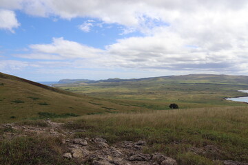 Fototapeta premium Prairie à l'île de Pâques