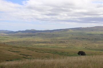 Obraz premium Prairie à l'île de Pâques