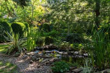 Yucca gloriosa Variegata on banks of small garden pond. Beautiful striped yucca leaves of gloriosa variegata on green blurred background. Evergreen landscaped garden. Nature concept for design.