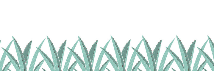 Aloe framing. White background. Place for text. Aloe clipart.