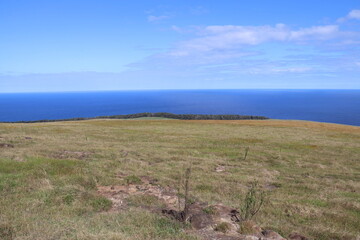 Prairie à l'île de Pâques	