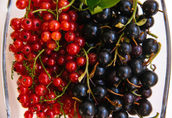 Red and black currants in a glass plate.Bright summer berries. The summer harvest.