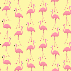 Pink flamingo seamless pattern. Vector illustration.