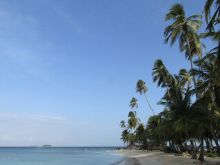 Playa tropical palmeras y e lmar