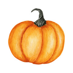 Autumn harvest Halloween pumpkin Watercolor hand painted illustration. Vegetables Hand drawn fresh vegan food Pumpkin design elements isolated on white background.