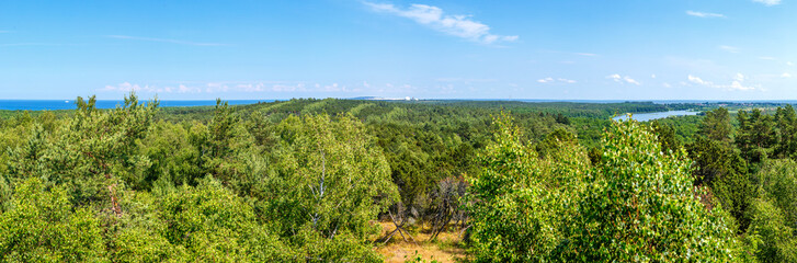 Fototapeta na wymiar Mixed forest on the background of the sea. Panorama, landscape
