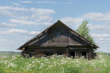 The old village house stands in an overgrown field. No one has lived in the house for a long time. Windows are broken. Summer. Horizontal photo.