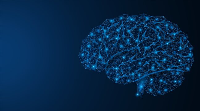 Human brain. The process of intelligence activity. A low-poly design consisting of connected lines and points. Blue background.
