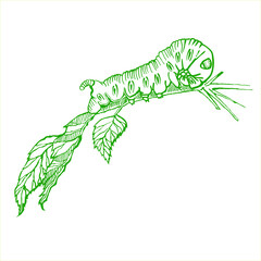 Vector image of a caterpillar on a leaf