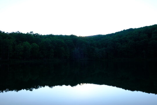 reflection of trees in the lake
