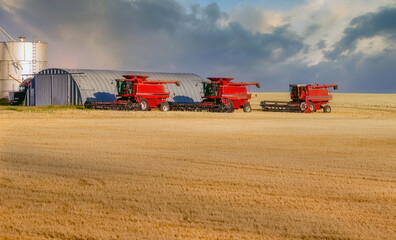 Combines in a golden  field of straw