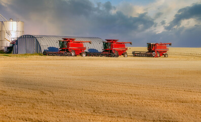Fototapeta premium Combines in a golden field of straw
