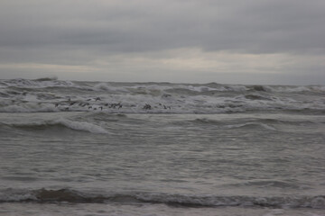 waves on the beach