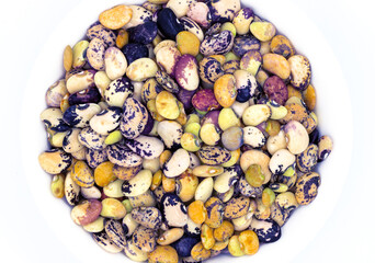 Multicolored bean on white background. Healthy food banner template. Kidney bean in circle shape on table