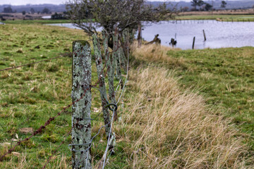 Fototapeta na wymiar fence in the field