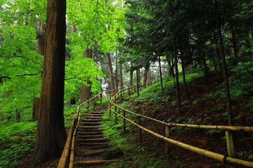 世界遺産　新緑の中尊寺