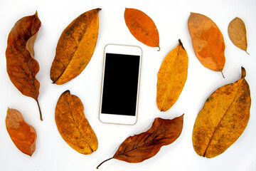 Orange leaf and black screen phone flat lay on white background. Smartphone top view photo mockup. Yellow red tree leaf backdrop for seasonal cover or banner. App on screen template. Phone mock-up