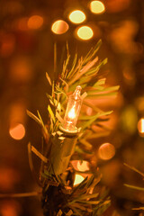 Closeup of decorative light on Christmas tree