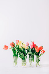Beautiful tulips in vases on white background