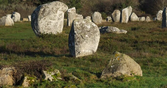 The stone alignments,Carnac, Morbihan, Brittany, France