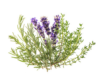 Fresh herbs rosemary lavender thyme Spices Food ingredients