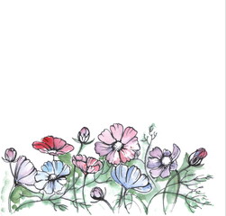 Hand drawn watercolor illustrations of floral ornament with flowers and leaves on white background. cosmos flowers