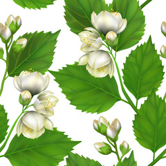 Seamless pattern with Jasmine. Realistic vector illustration. Floral ornament. - 362091694