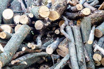 Natural wooden background. Close up view of not chopped firewood. Cut pieces of trees