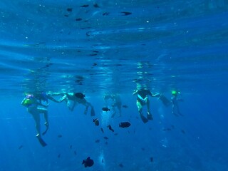 Snorkeling at Molokini Crater, Maui