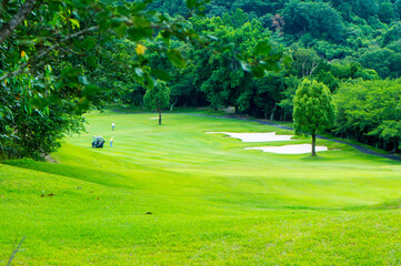 グリーンの鮮やかなゴルフ場