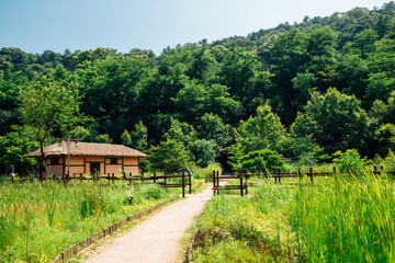 Korea traditional house with green forest at Wolmi Park Traditional Garden in Incheon, Korea