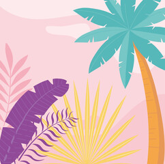 Fototapeta na wymiar summer time vacation tourism palm trees foliage leaves background