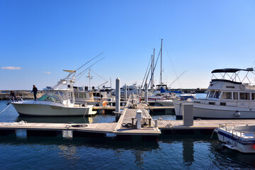 Fototapeta premium 熱海のマリーナに停泊するクルーザー