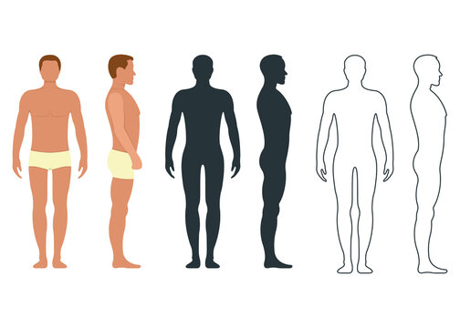 Male and female anatomy human character, people dummy front and view side body silhouette, isolated on white, flat vector illustration.