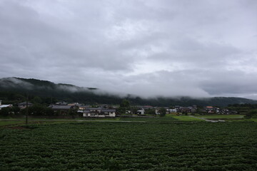 霧