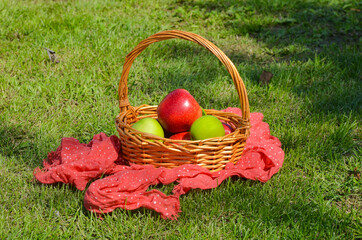Apples in a straw basket in the park. The concept of a summer picnic