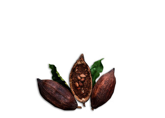 Composition with cocoa pod black texture background