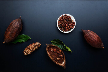 Composition with cocoa pod black texture background