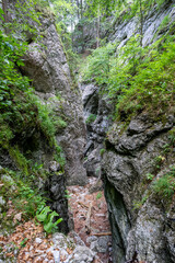 Hiking Path Via Ferrata at the Weichtalklamm in Lower Austria