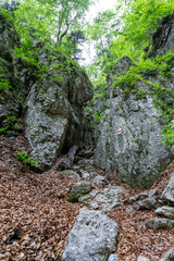 Hiking Path Via Ferrata at the Weichtalklamm in Lower Austria
