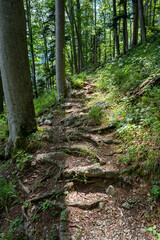 Hiking Path Via Ferrata at the Weichtalklamm in Lower Austria