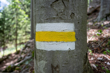 Signpost on Tree in Forest in Weichtalklamm in Lower Austria