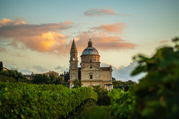 Fototapeta na wymiar Montepulciano Catedral and vineyard