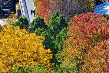 Couple walking on park filled with fall foliage.