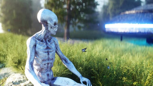 Funny alien sitting in forest. Realistic 4k animation.