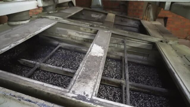 mechanical sorter, sifter sunflower seeds at factory. seeds falling on bars.