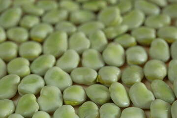 Fresh broad bean close up