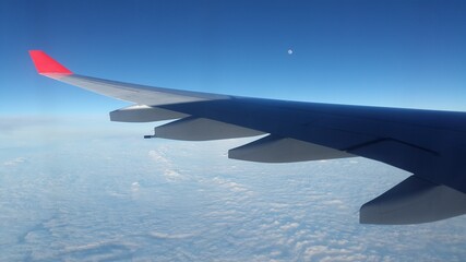 Ala de avion